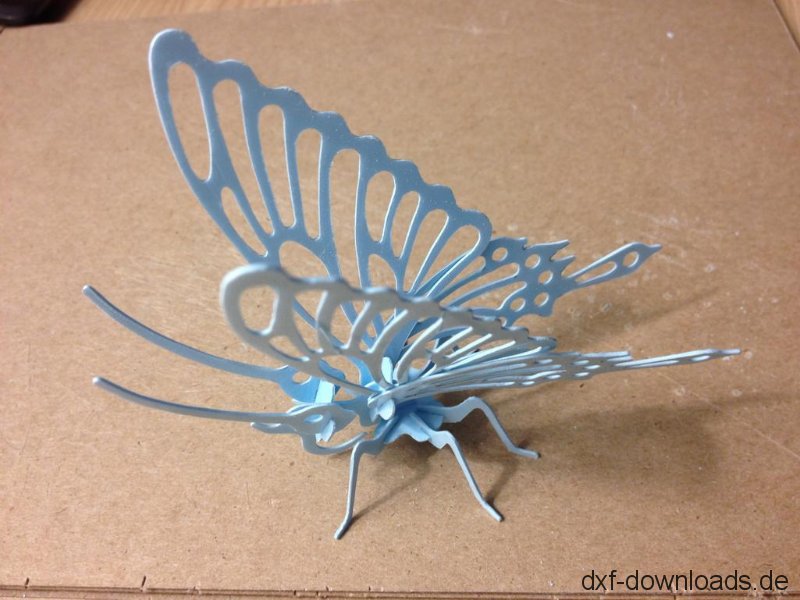 Schmetterling 3D Modell
