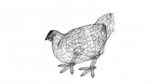 Huhn 3D Zeichnung