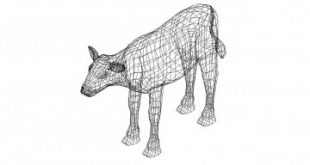 Kuh 3D Zeichnung