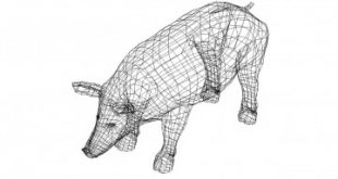 Schwein 3D Zeichnung