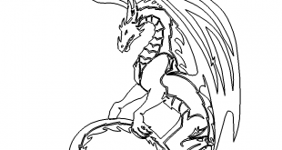 Drache - Dragon