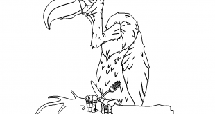 Geier - Vulture
