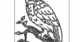 sehr aufwendige Eule - very elaborate owl