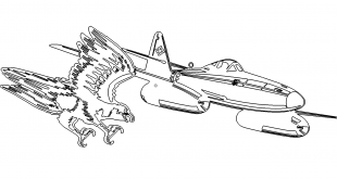 Falke gegen Flugzeug