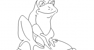 Fosch - Frog