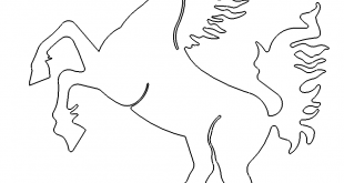 Pferd Gaul - Horse