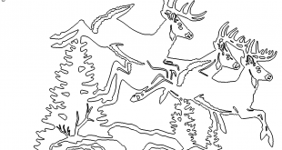 Hirschrudel - Deers