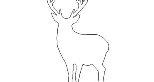 Hirsch - Deer