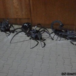 Spinne 3D Modell Spinne 3D Modell