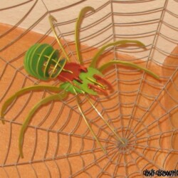 3D Spider 3D Spider