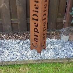 Carpe Diem Sauele Carpe Diem Sauele