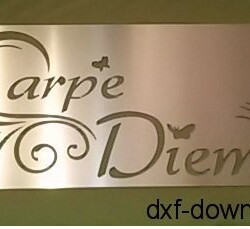 Carpe Diem 2 Carpe Diem 2