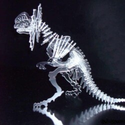 Ceratopsier Ceratopsier