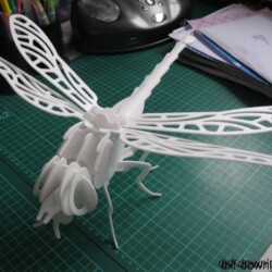 Drachenfliege2 Drachenfliege2