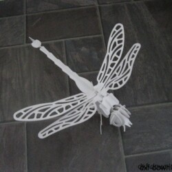 Drachenfliege1 Drachenfliege1