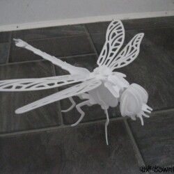 Drachenfliege Drachenfliege