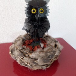 Eule 3D Modell3 Eule 3D Modell3