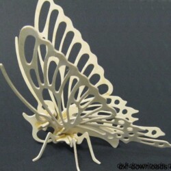Schmetterling 3D1 Schmetterling 3D1