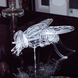 Fliege 3D Modell Fliege 3D Modell