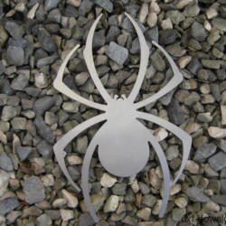 Gelaserte Spinne Gelaserte Spinne