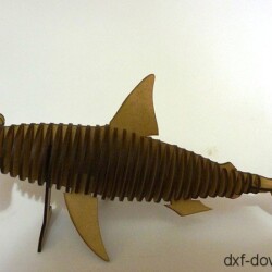 Hammerkopf Hai Hammerkopf Hai