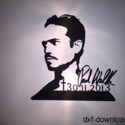 Paul Walker Bild Paul Walker Bild