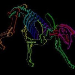 Saber 3D Modell Saber 3D Modell