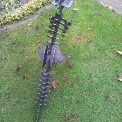 Tyranosaurus Rex 3D Modell13 Tyranosaurus Rex 3D Modell13