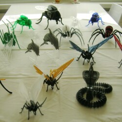 Tiere Sammlung Tiere Sammlung