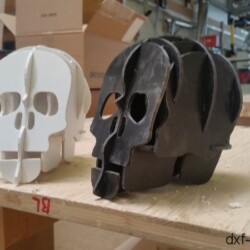 Totenkopf 3D1 Totenkopf 3D1