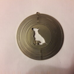 Pittbull Windspiel Pittbull Windspiel