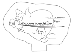 Schnelle Sau - Fast Pic