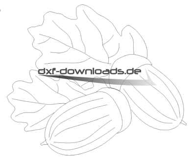 Eicheln mit Laub - Acorns with leaves