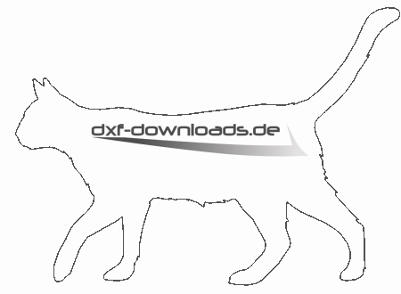 Katze schleicht - cat sneaks