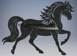 Wunderschönes elegantes Pferd