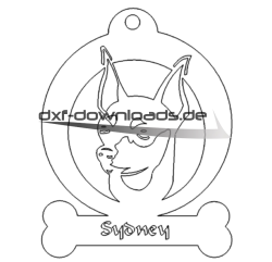 Kleiner Hund - Minature Pincher