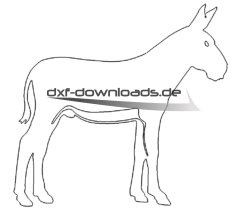 Esel - donkey