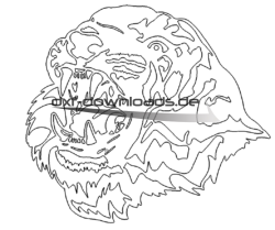 Tiger Kopf - Tiger Head