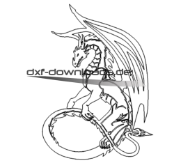 Drache - dragon
