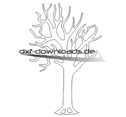 Laubbaum - Deciduous tree