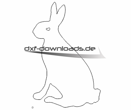 Hase -  Rabbit