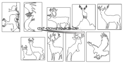 Verschiedene Hirsche und ein Adler - Several deer and an eagle