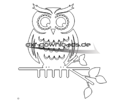 Eule auf Ast - Owl