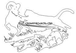 Puma greift an - Puma Attack