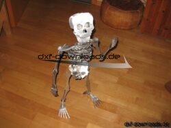 Skelett 3D Modell -  Skeleton 3D Model