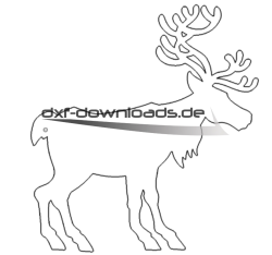 Renntier - Reindeer