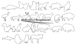 Paket mit Tieren - Package with Animals