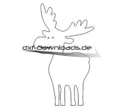 Elch - Deer
