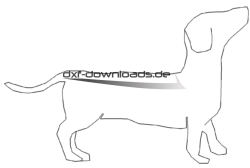 Hund Dackel - dog dachshund