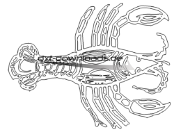 Sternzeichen Krebs - Star Sign Cancer